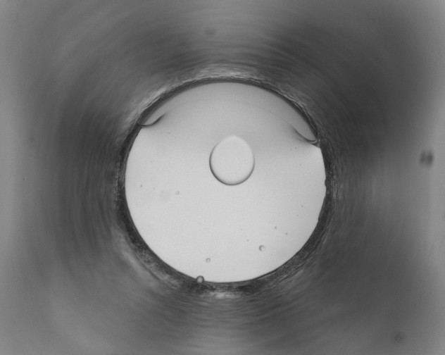 X0000111170352200908121052