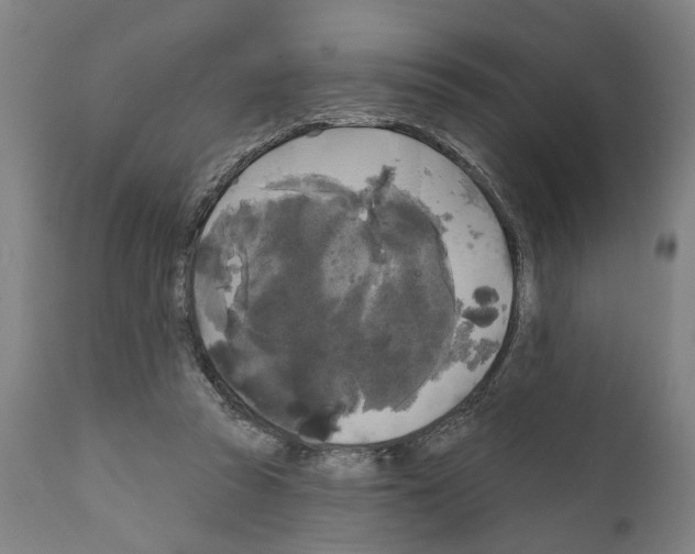 X0000111170353200908121052