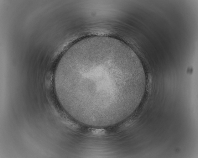 X0000111170355200908121052