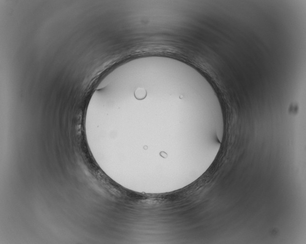 X0000111170356200908121052