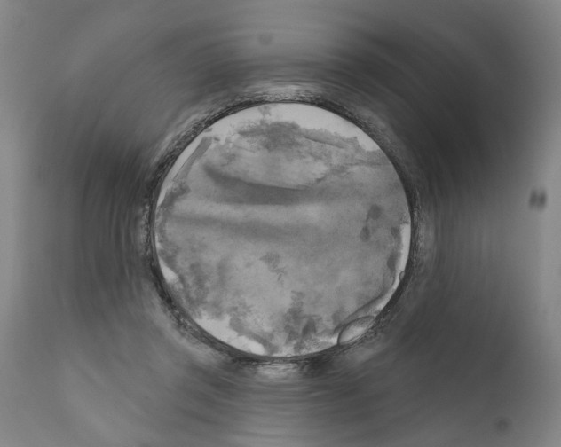 X0000111170357200908121052