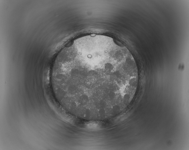 X0000111170358200908121052