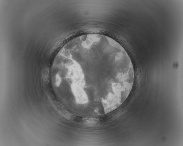 X0000111170359200908121052