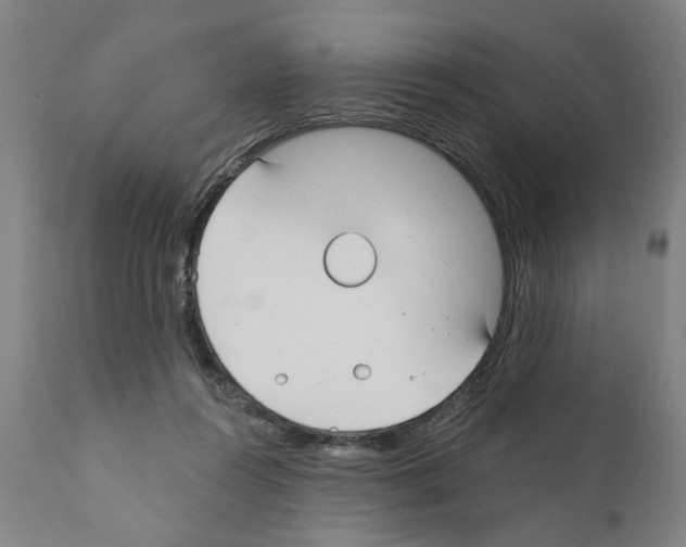 X0000111170360200908121052