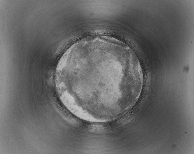 X0000111170361200908121052