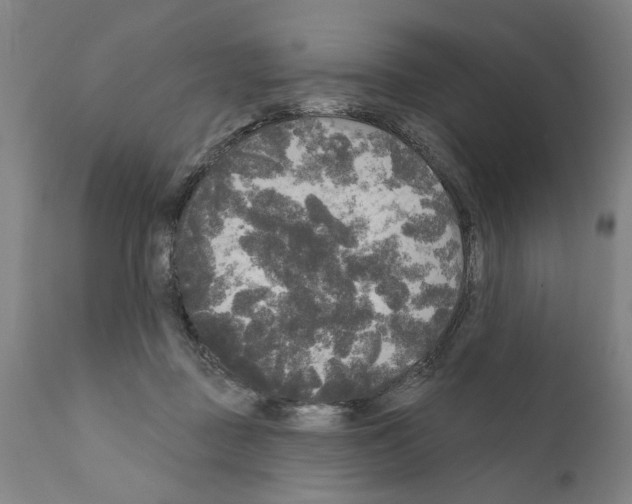 X0000111170363200908121052