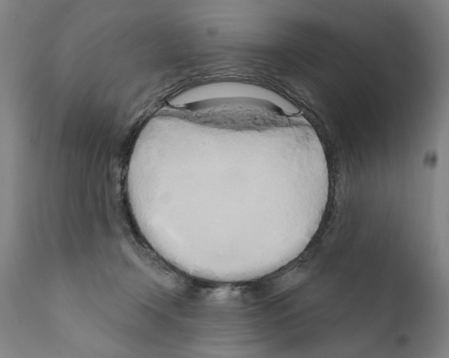 X0000111170366200908121052