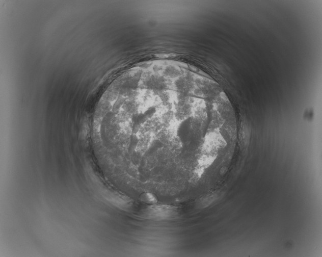 X0000111170367200908121052