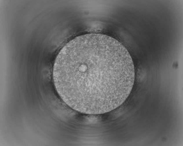 X0000111170370200908121052