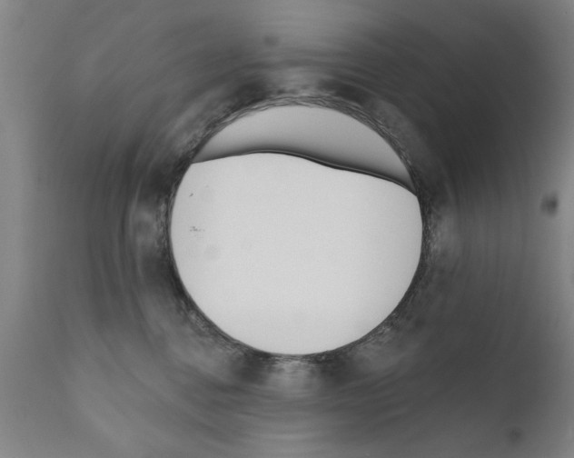 X0000111170376200908121052