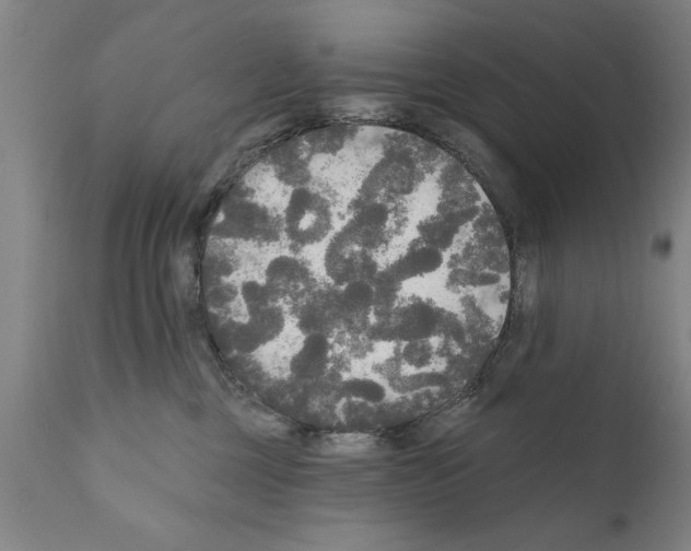 X0000111170377200908121052