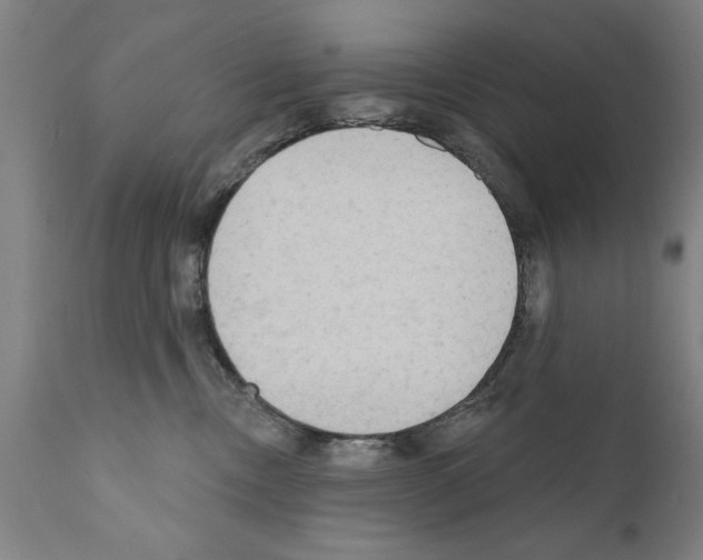 X0000111170378200908121052