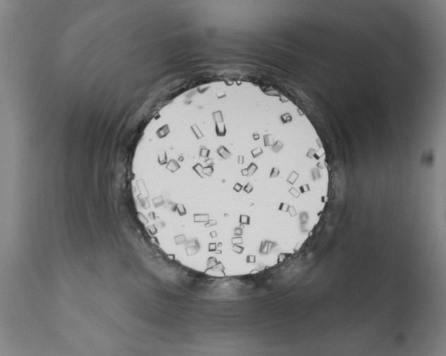 X0000111170379200908121052