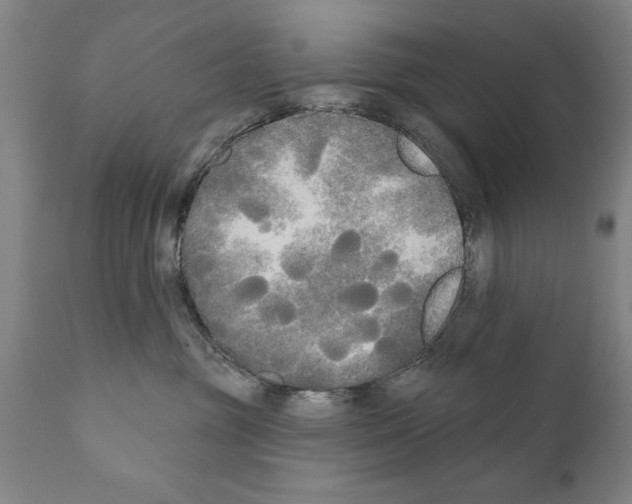 X0000111170381200908121052