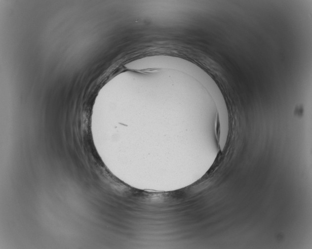 X0000111170382200908121052