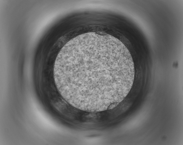 X0000111170383200908121052