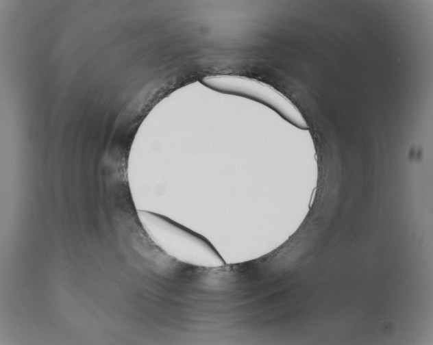 X0000111170384200908121052