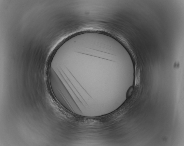 X0000111170387200908121051