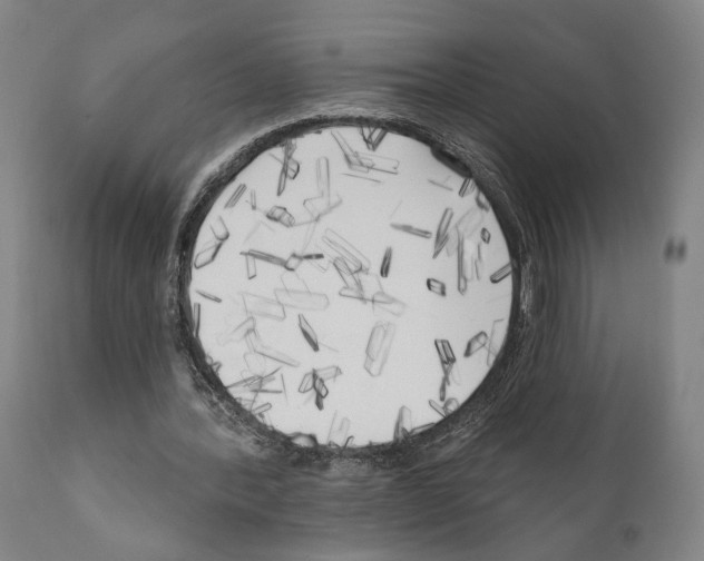 X0000111170388200908121051