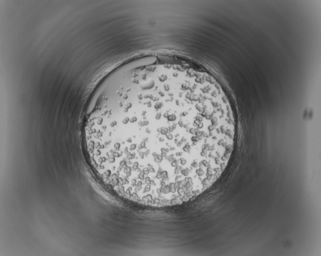 X0000111170389200908121051