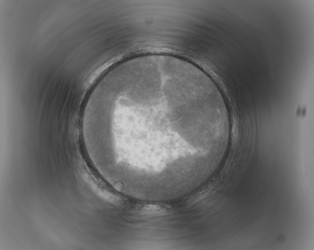 X0000111170390200908121051