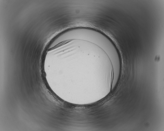 X0000111170391200908121051