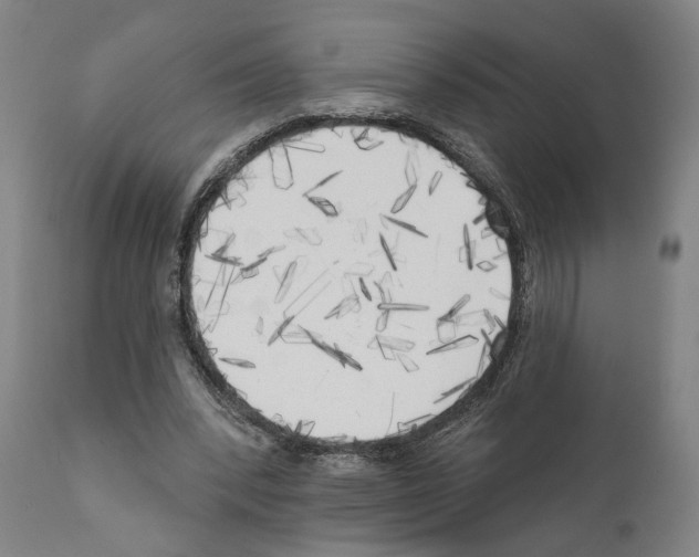 X0000111170392200908121051