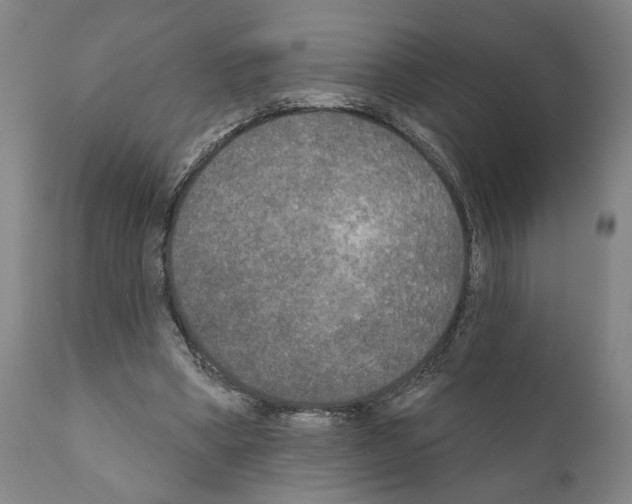 X0000111170394200908121051