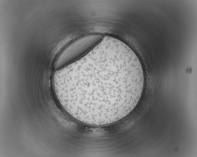 X0000111170395200908121051