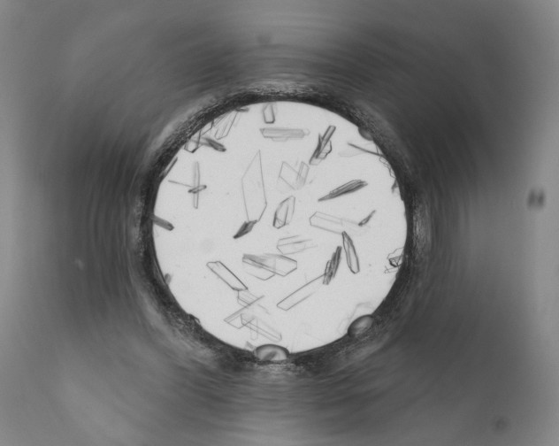 X0000111170396200908121051