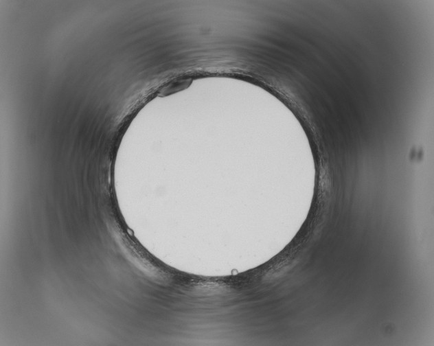 X0000111170397200908121051