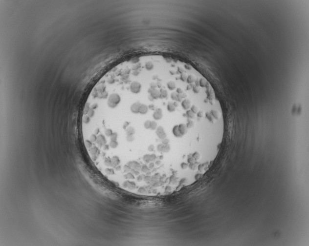 X0000111170398200908121051