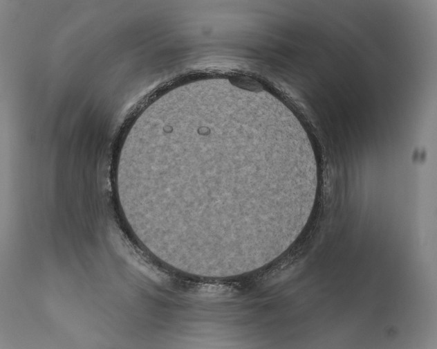 X0000111170399200908121051