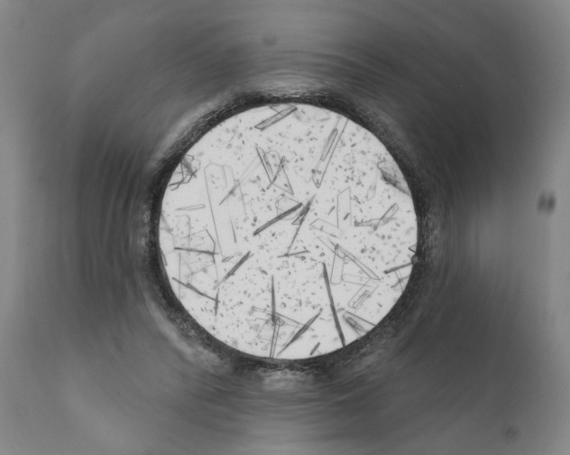 X0000111170400200908121051