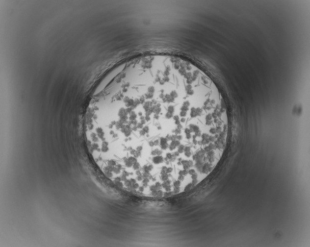 X0000111170401200908121051