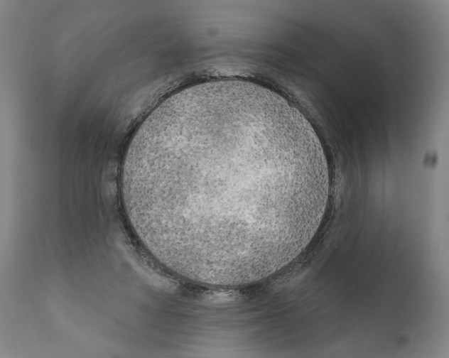 X0000111170402200908121051