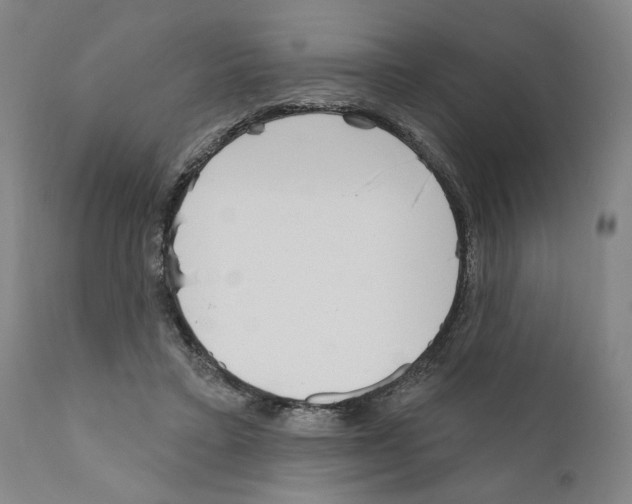 X0000111170403200908121051