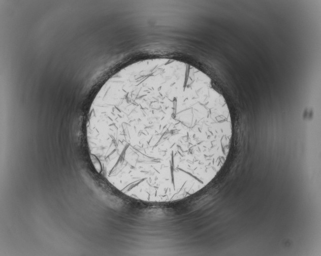 X0000111170404200908121051