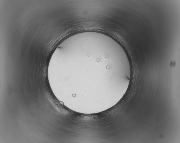 X0000111170405200908121051