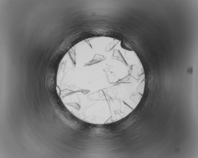 X0000111170408200908121051