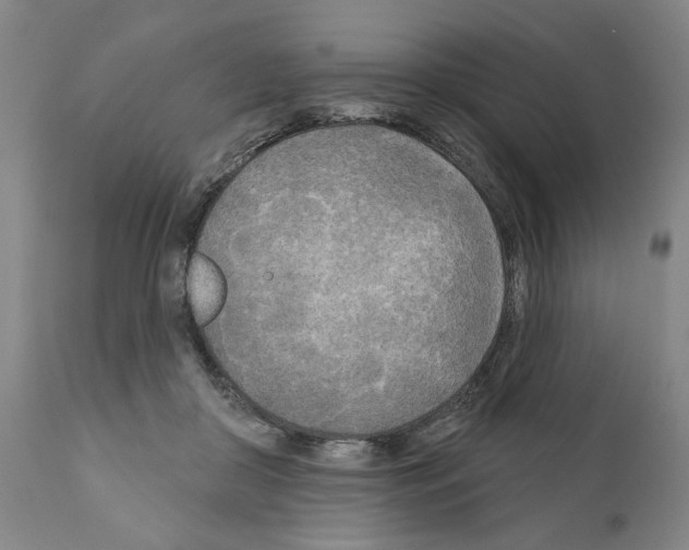 X0000111170410200908121051