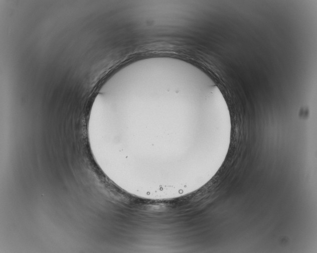 X0000111170411200908121051