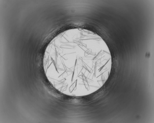 X0000111170412200908121051