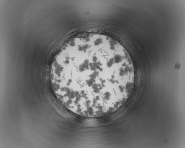 X0000111170413200908121051