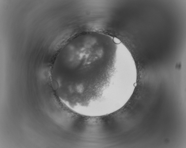 X0000111170415200908121051