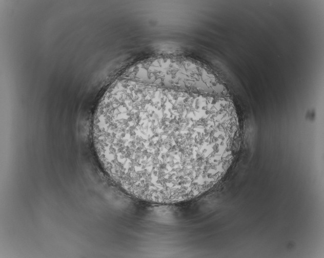 X0000111170417200908121051