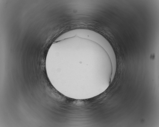 X0000111170419200908121051