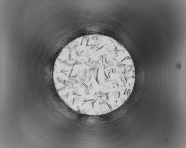 X0000111170420200908121051