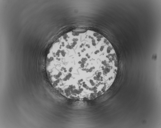 X0000111170421200908121051