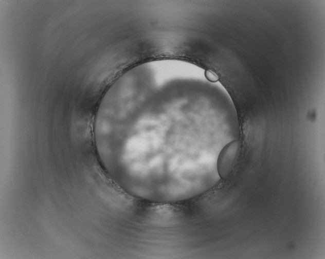 X0000111170423200908121051